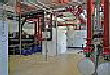 Oni Freudenberg-Schneegans Bild 3 Oni Freudenberg-Schneegans Bild 3